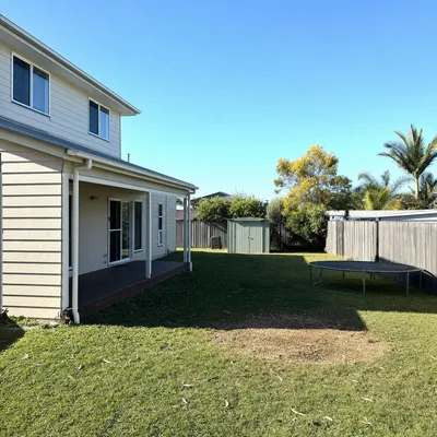 After: Young gum crowding a new-estate yard, sectioned down, Werribee