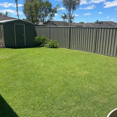 After: Storm limb down after a westerly, Werribee