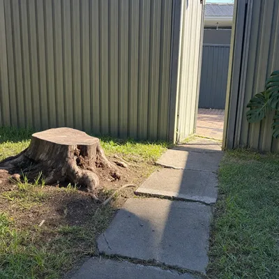 Before: Stump ground out through a tight side gate, Werribee