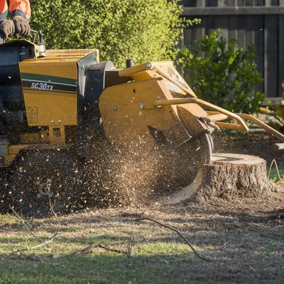 Stump Grinding Werribee