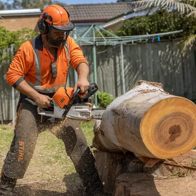 Tree Removal Werribee