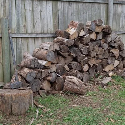 Logs cut for firewood, Werribee